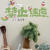 听风123[图]