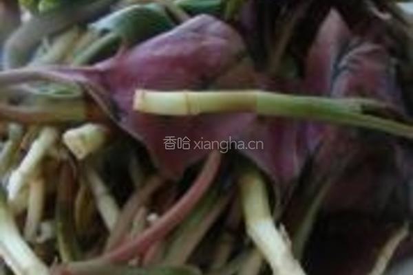 腊味鱼腥草的做法图解1