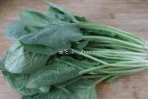 姜蓉鸡丝菠菜的做法图解2