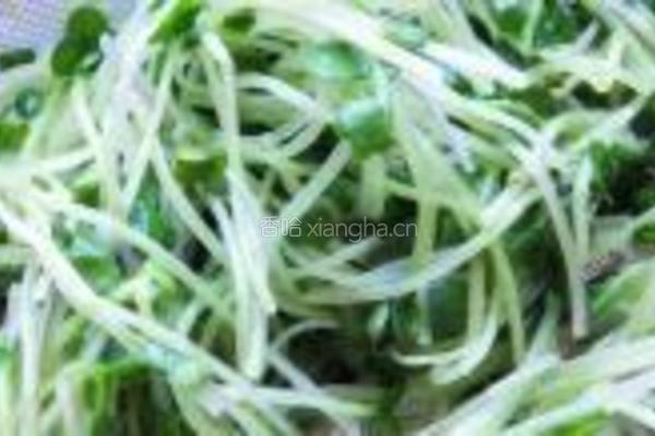 萝卜苗拌银针菇的做法图解5