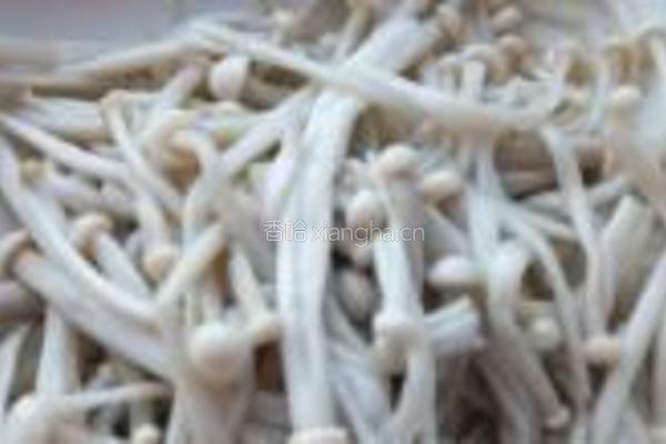 萝卜苗拌银针菇的做法图解6