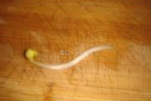 凉拌黄豆芽的做法图解5