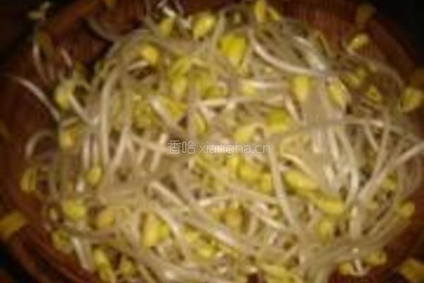 凉拌黄豆芽的做法图解6