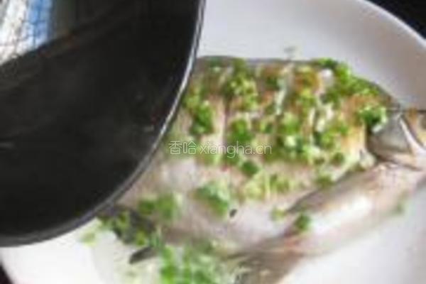清蒸鳊鱼的做法图解8