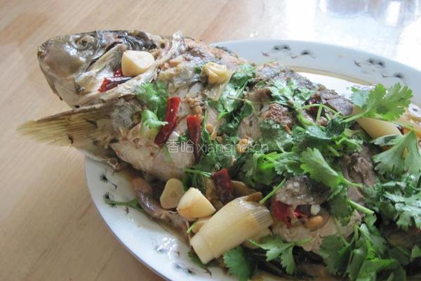 炖黄河大鲤鱼