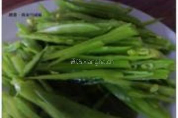 鸡丝荷兰豆的做法图解4