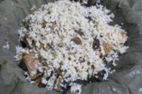 荷香糯米蒸排骨的做法图解8