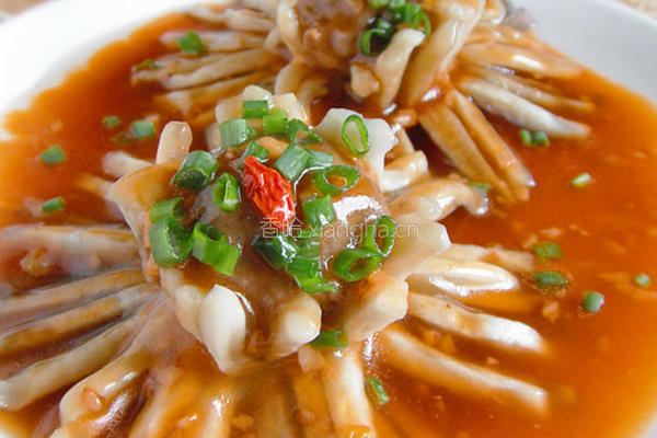 浇汁茄花