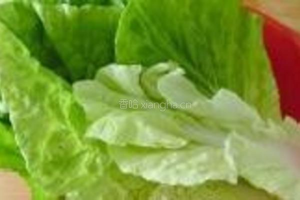 什锦双色肉丸的做法图解2
