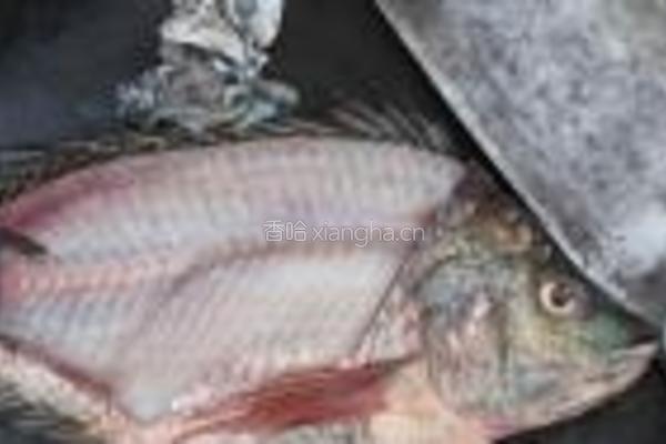 鱼生片的做法图解1