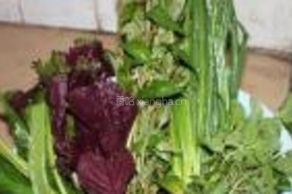鱼生片的做法图解5