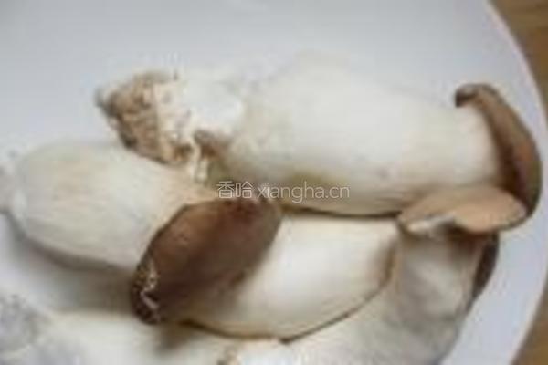 辣炒海苔杏鲍菇的做法图解1