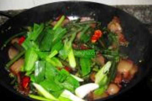 红菜苔炒腊肉的做法图解10