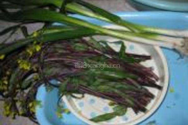 红菜苔炒腊肉的做法图解1