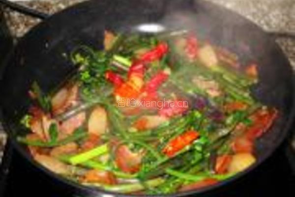 红菜苔炒腊肉的做法图解8