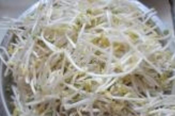 辣炒豆芽的做法图解1