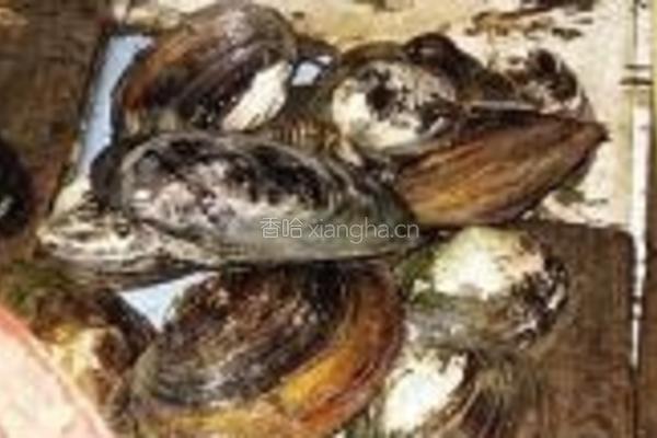 河蚌豆腐汤的做法图解1