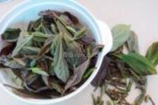 蚕豆煮枇杷叶的做法图解2