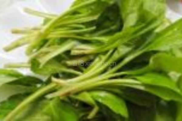 榨菜拌豆腐丝的做法图解2