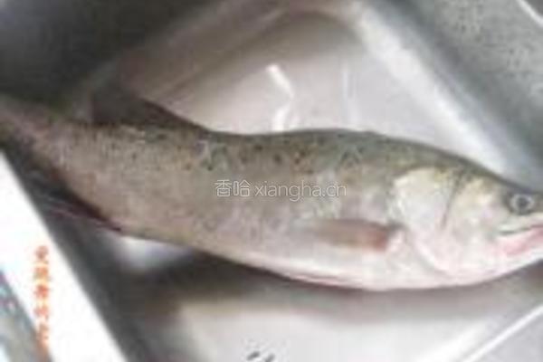 椒盐香煎海鲈鱼的做法图解1