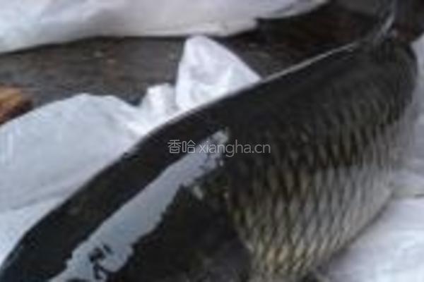 糖醋熏鱼的做法图解1