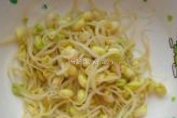 黄豆芽凉拌粉条的做法图解3