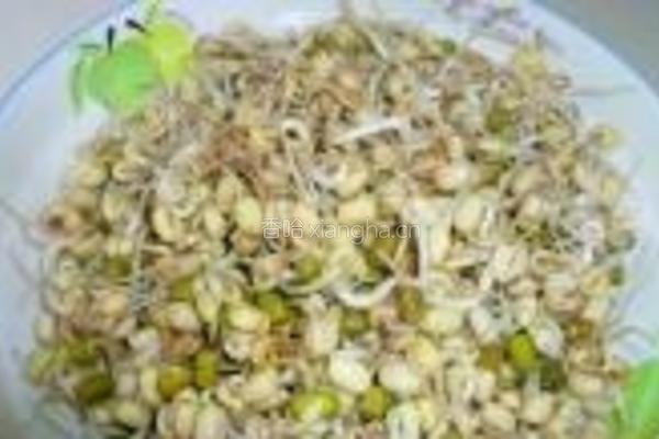 素炒豆芽的做法图解1