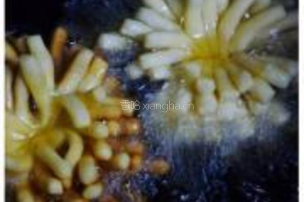 蛋面菊花的做法图解6