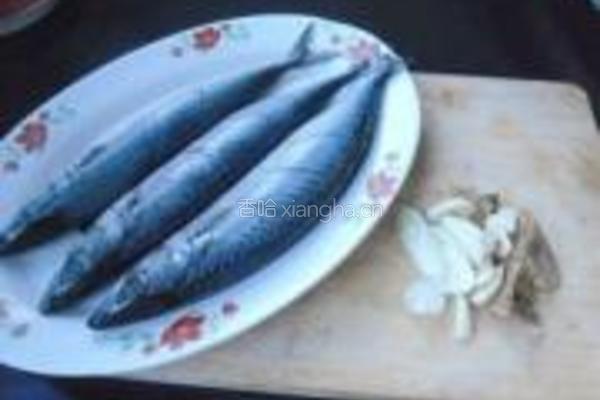 辣烧鲐鲅鱼的做法图解2