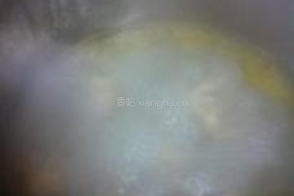 番茄牛尾的做法图解1