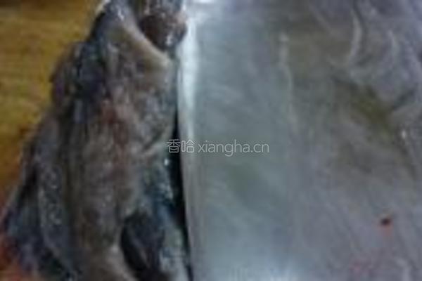 白玉菇炒乌鸡片的做法图解2