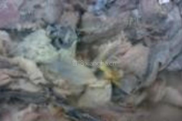 白玉菇炒乌鸡片的做法图解5