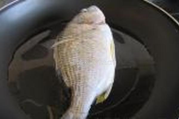 煎海鱼焖豆腐的做法图解1