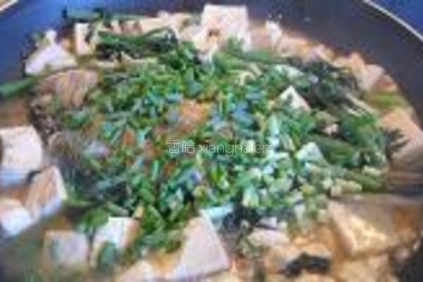 煎海鱼焖豆腐的做法图解8