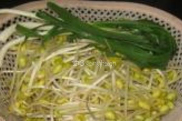 青蒜炒豆芽的做法图解1