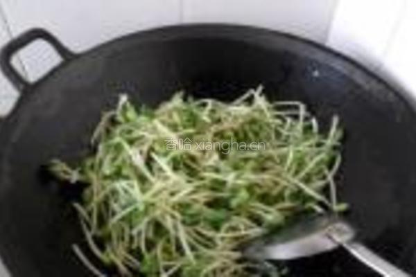 蒜香黑豆苗的做法图解4