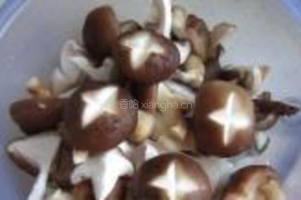 小鸡炖蘑菇的做法图解8