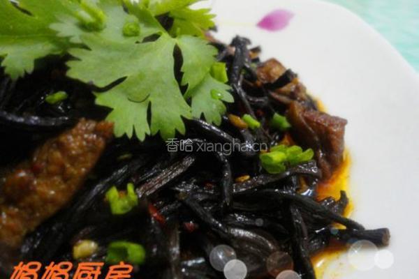 干蕨菜炖肉