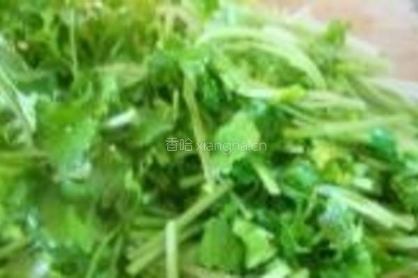 香菜炒豆腐的做法图解7