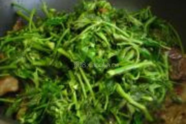 香椿芽炒鸡心的做法图解8