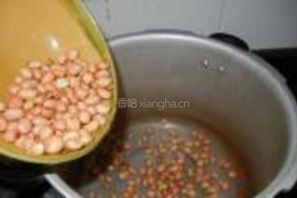 花生咸青鱼煲的做法图解4