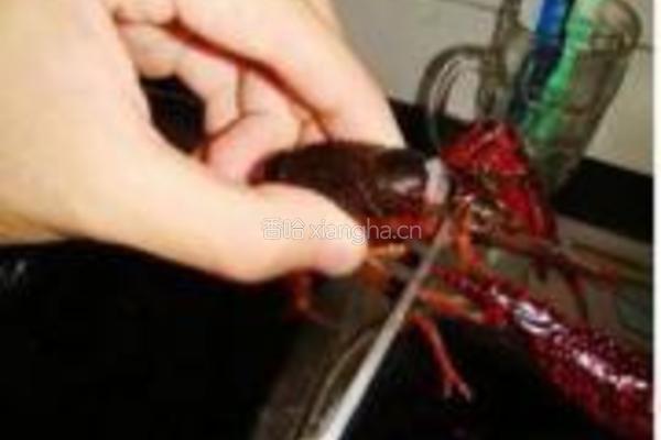 麻辣小龙虾的做法图解3