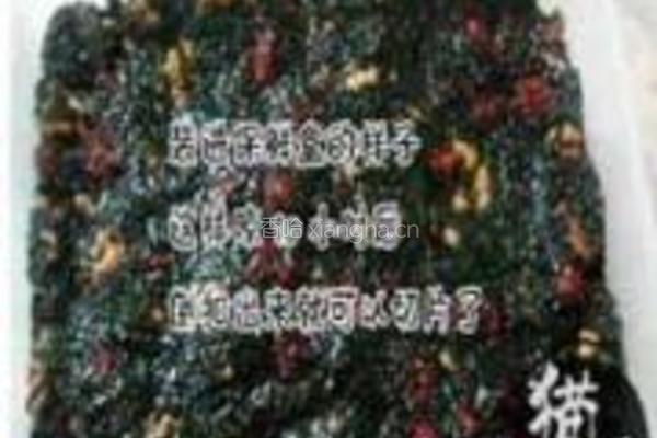 阿胶固元膏的做法图解6