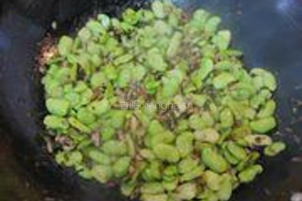 雪菜肉末炒蚕豆的做法图解5