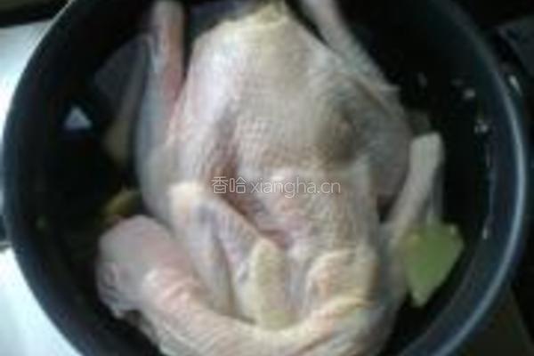 清炖童子鸡的做法图解3