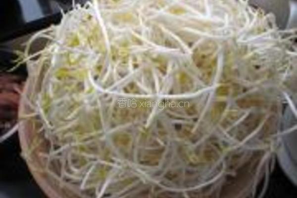 绿豆芽炒肉的做法图解2