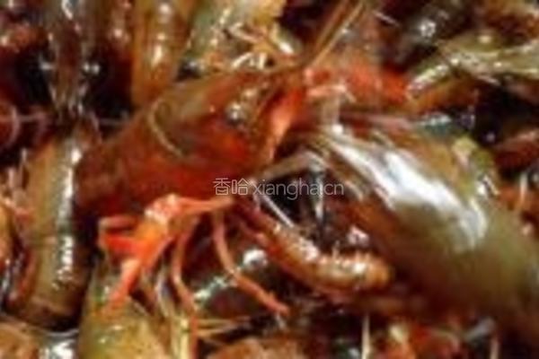 手剥小龙虾的做法图解1