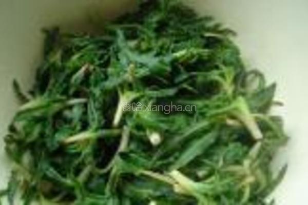 凉拌苦苦菜的做法图解3