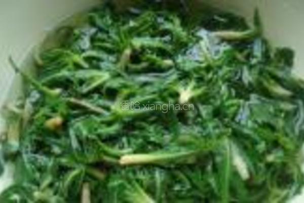 凉拌苦苦菜的做法图解4