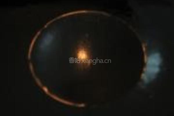 辣炒年糕的做法图解10